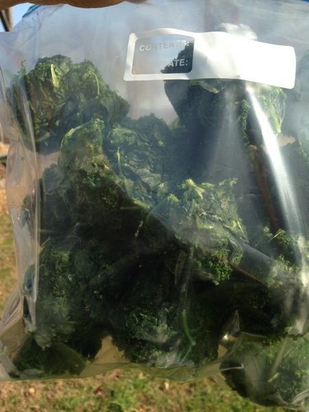 blanched-kale-frozen-in-bag
